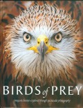 BIRDS OF PREY